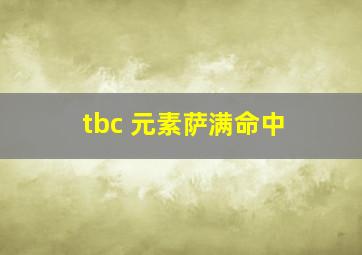 tbc 元素萨满命中